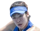 Logo Zhang Ying